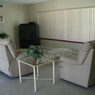 A cozy living room with sofas, a television, and a coffee table with plants.