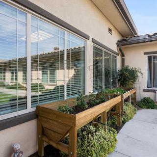 A modern building exterior with large windows and wooden planter boxes filled with greenery.