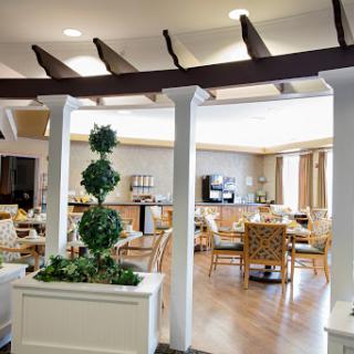 A spacious and inviting dining area with modern decor and greenery.