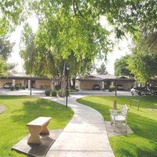 A sunny pathway through a park with benches surrounded by lush greenery.