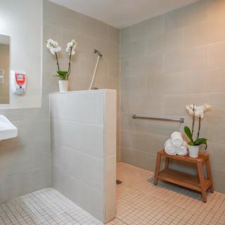 A modern and minimalist bathroom with a walk-in shower, safety bar, and decorative plants.