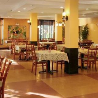 A quiet, empty restaurant dining area with neatly arranged tables and chairs.
