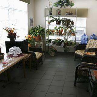 A cozy indoor space filled with plants and comfortable seating.