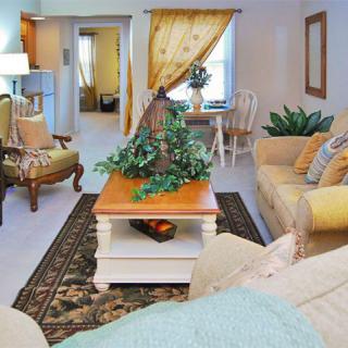 A cozy living room with elegant furniture and decor featuring a sofa, armchair, coffee table, and decorative plants.
