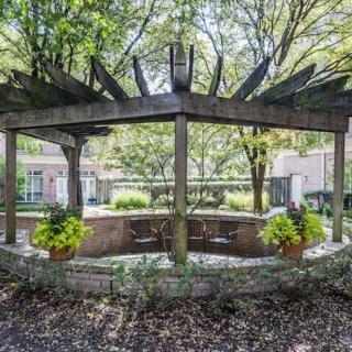 A wooden pergola in a garden setting, surrounded by plants and trees.