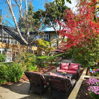 A cozy outdoor seating area surrounded by colorful autumn foliage.