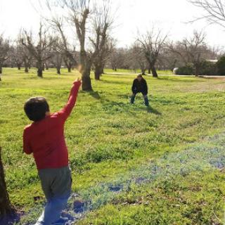 Two children playing outdoors in a grassy field surrounded by trees.