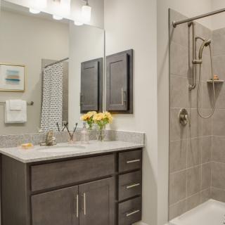 Modern bathroom with a vanity, mirror, and shower.