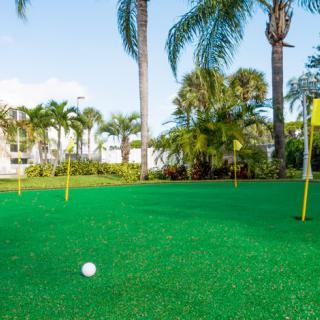 A sunny outdoor putting green surrounded by palm trees.
