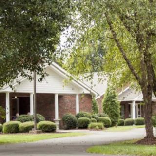 A suburban house surrounded by trees and greenery along a driveway.