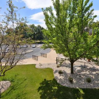 A serene outdoor park with lush green trees and a winding pathway.