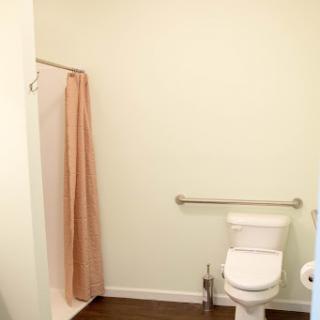 A minimalist bathroom featuring a toilet and a shower area with light green walls.