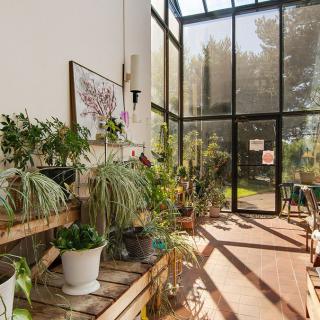 A sunlit room filled with various indoor plants, featuring large glass doors that let in ample natural light.