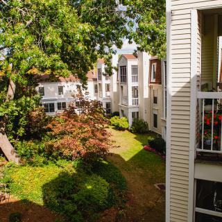 A sunny view of a residential apartment complex surrounded by lush greenery and trees.