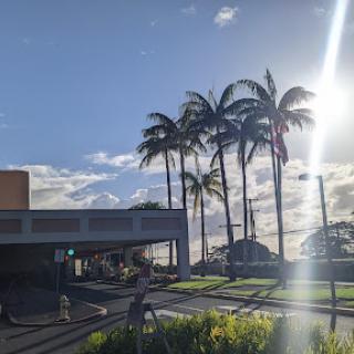 A sunny day with palm trees swaying under the bright sky.