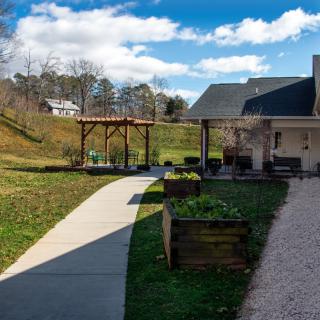 A sunny day in a garden with a pathway, pergola, and nearby building.