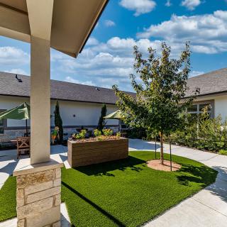A modern courtyard with a raised garden bed, lush greenery, and a sunny blue sky.