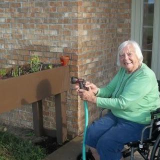 An elderly woman in a wheelchair is watering her garden outdoors.