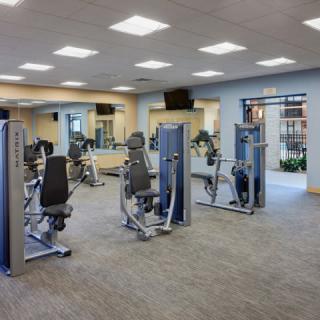 A modern gym equipped with various exercise machines.