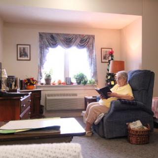 An elderly individual enjoying a quiet moment while reading in a cozy living room, filled with soft natural light.