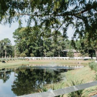 A serene pond surrounded by lush greenery and trees, reflecting the natural landscape.