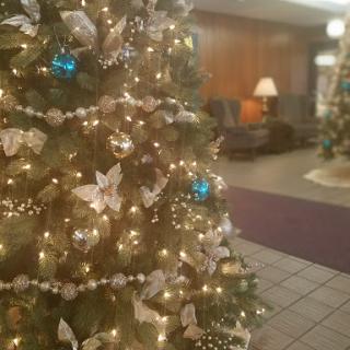 A beautifully decorated Christmas tree with white butterflies and blue ornaments, glowing with warm lights in a cozy interior setting.