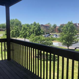 A sunny view from a balcony overlooking a grassy area and trees in a neighborhood.
