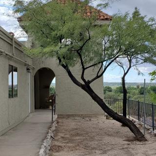 A tree leaning towards a building with an archway and a pathway leading alongside.