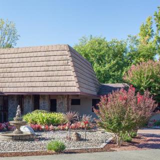 A residential house with a well-maintained garden featuring a fountain, surrounded by various trees and bushes.