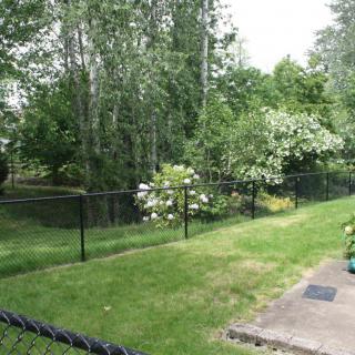 A peaceful garden with lush greenery and a black chain-link fence.