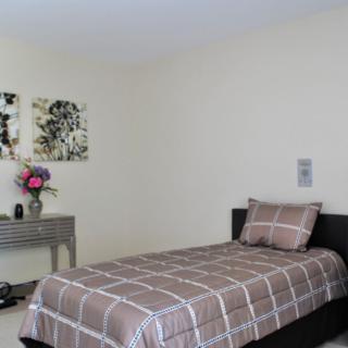 A minimalist bedroom featuring a single bed with brown plaid bedding, a decorative table with a vase of flowers, and artwork on the wall.