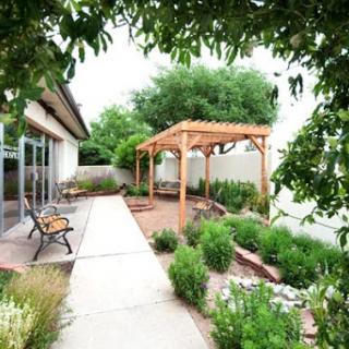 A serene garden featuring a pergola, benches, and lush greenery.