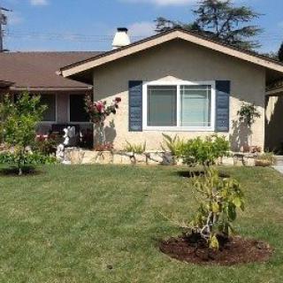 A suburban house with a well-maintained lawn and garden in the front yard.