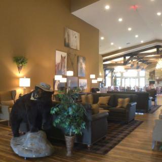 A cozy lobby featuring a bear statue, comfortable seating, and warm lighting.