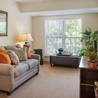 A cozy living room with a sofa, lamp, houseplants, and a large window.