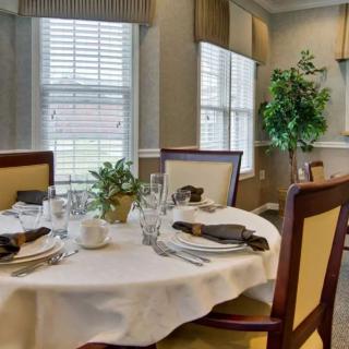 An elegantly set dining table in a well-lit room with plants and comfortable chairs.