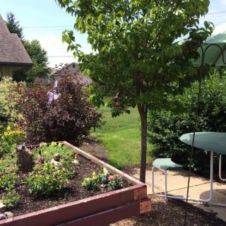 A well-maintained garden with a raised bed of plants and a patio area with chairs under an umbrella.