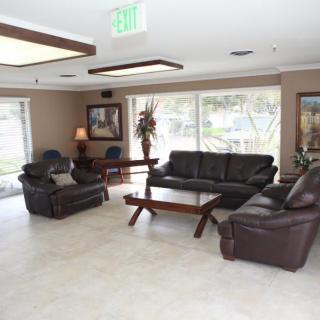 A spacious living room with leather sofas and natural lighting.