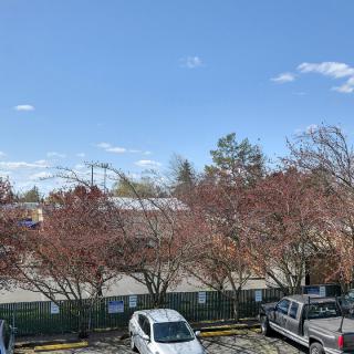 A parking lot with several cars under a clear blue sky and scattered clouds, surrounded by trees and buildings.