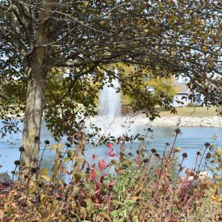 A serene autumn landscape featuring a tree by a pond with a fountain in the background.