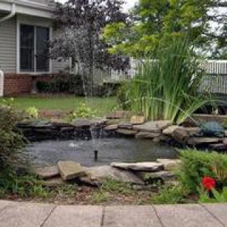A garden pond with surrounding plants and rocks, creating a tranquil outdoor space.