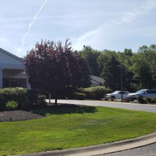 A serene outdoor view featuring a tree, well-manicured grass, and a nearby parking area.