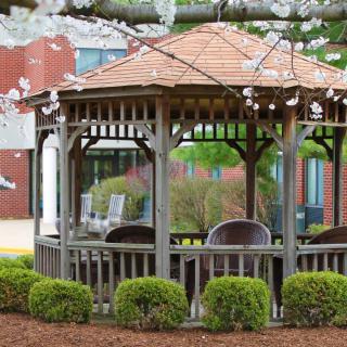 A charming wooden gazebo surrounded by blooming flowers and lush greenery in a garden setting.