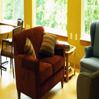 A cozy living room with an armchair and cushions by the window, letting in natural light.