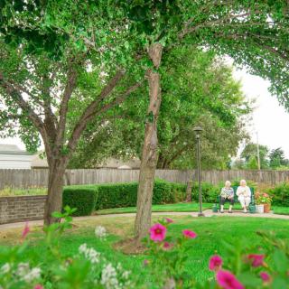 A lush garden featuring vibrant flowers and tall trees under a clear sky.