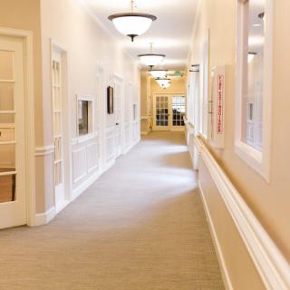 A well-lit hallway with doors and elegant interior design.