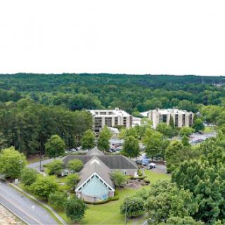 An aerial view showcasing a blend of urban buildings surrounded by lush greenery.