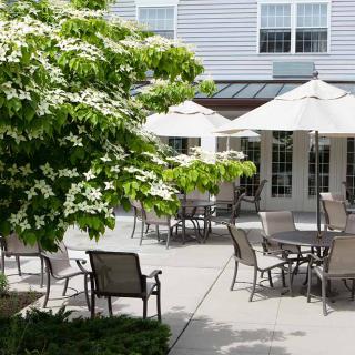A peaceful outdoor patio area with chairs, tables, and umbrellas surrounded by greenery.