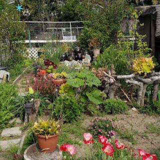 A vibrant garden filled with a variety of plants and colorful flowers.