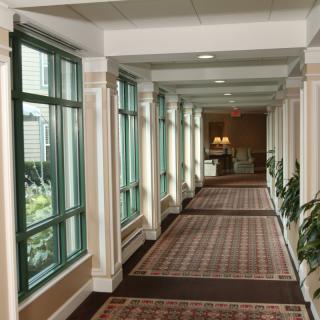 A well-lit hallway with large windows and decorative plants.